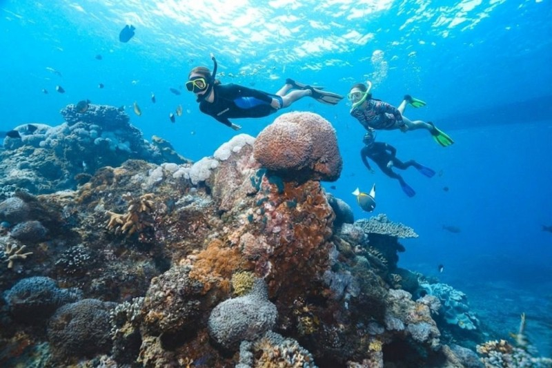 COMBINATIONS SNORKLING + WEST NUSA PENIDA