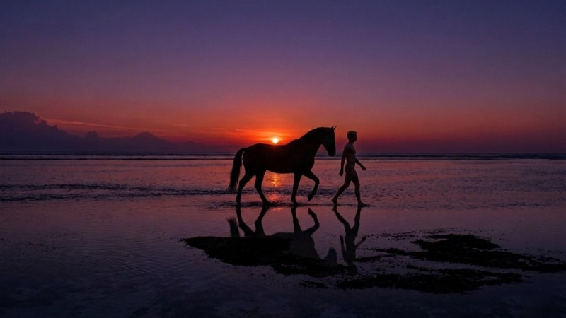 Isole Gili: Quale Scegliere tra Trawangan, Meno e Air? | Guida 2026