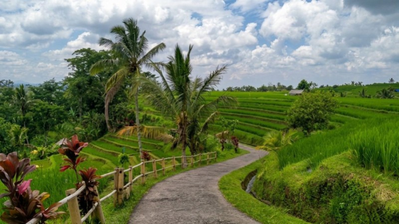 Risaie di Jatiluwih: L'Incanto Verde nel Cuore di Bali