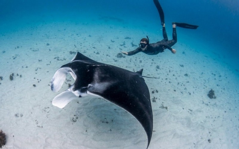 COMBINATIONS SNORKLING + EAST NUSA PENIDA